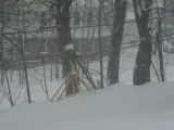 Trebuchet in the Snow